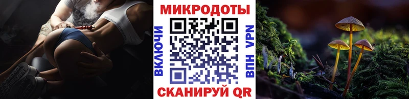 Купить где  Малаховка  Галлюциногенные грибы GOLDEN TEACHER 